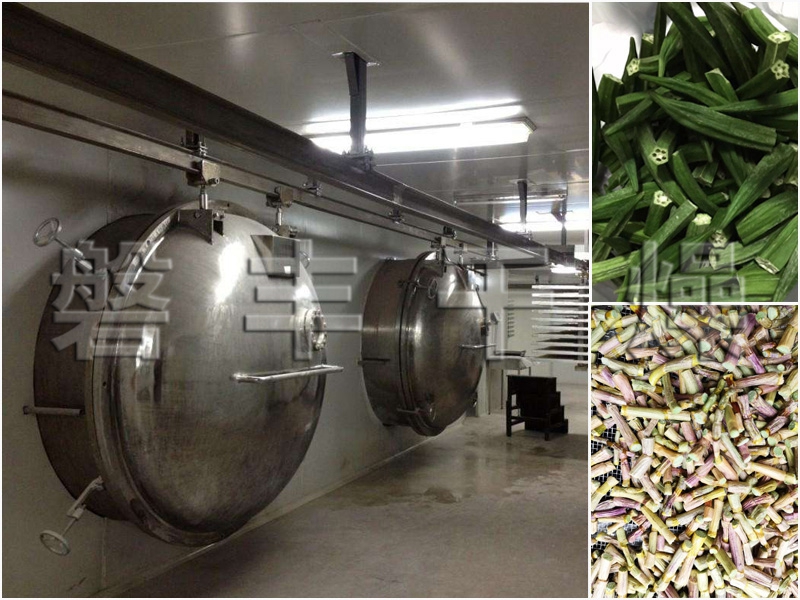 中藥材真空冷凍干燥機