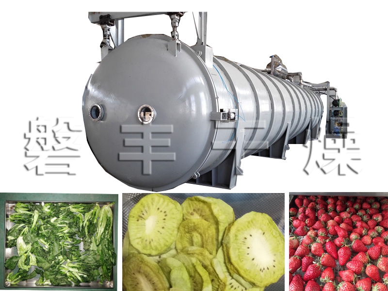 水果蔬菜真空冷凍干燥機