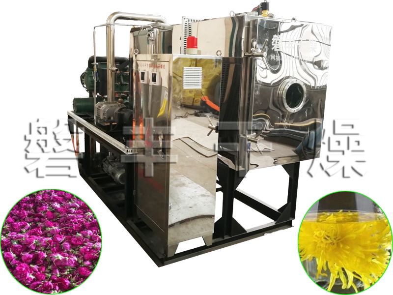 花類真空冷凍干燥機