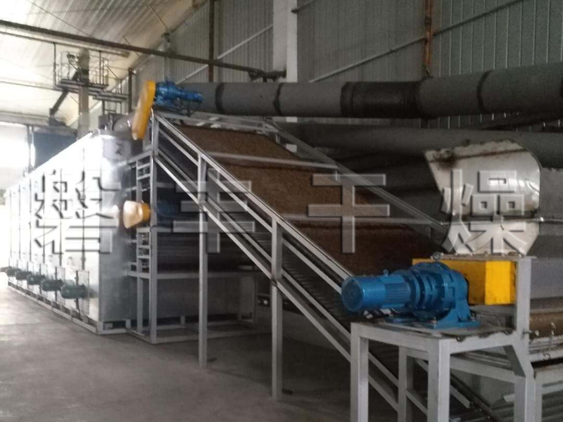 DWT系列脫水蔬菜干燥機